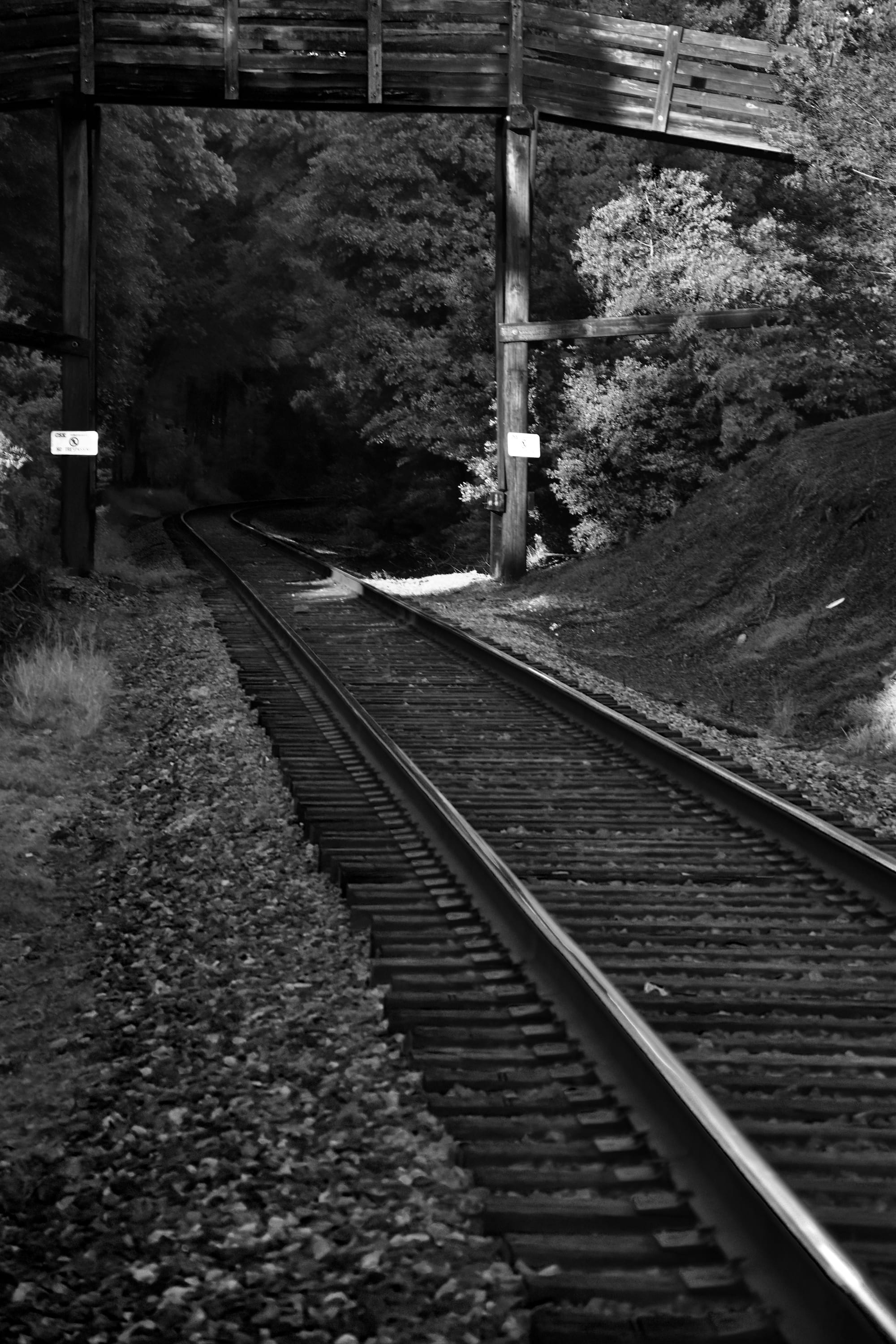 Photograph of a railroad in Waxhaw